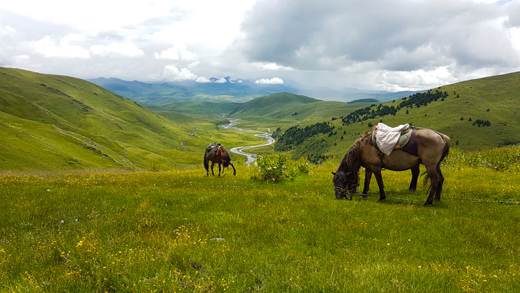 Tagong-tibet-paarden