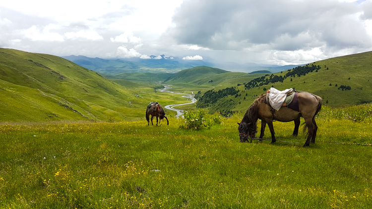 Tagong-tibet-paarden