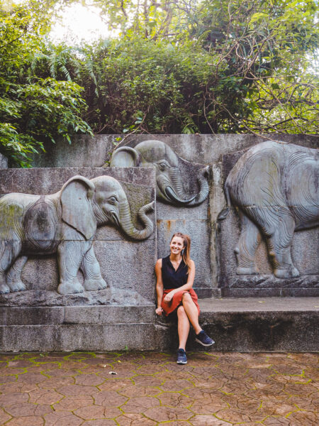 Taipei elephant mountain trail