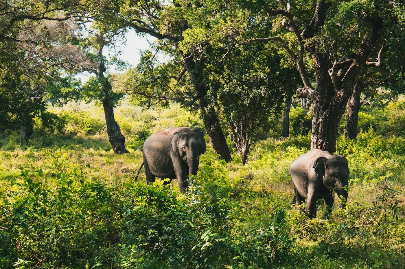 The Kingdom Eco Lodge