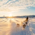 The Lapland Trip husky tocht