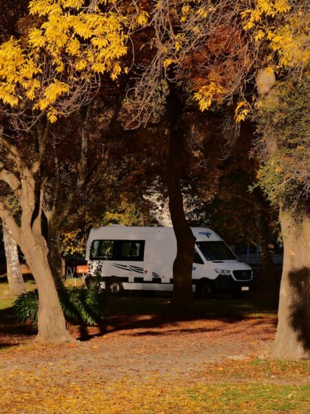 The camp Wanaka