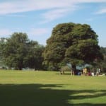 Park Sydney tips