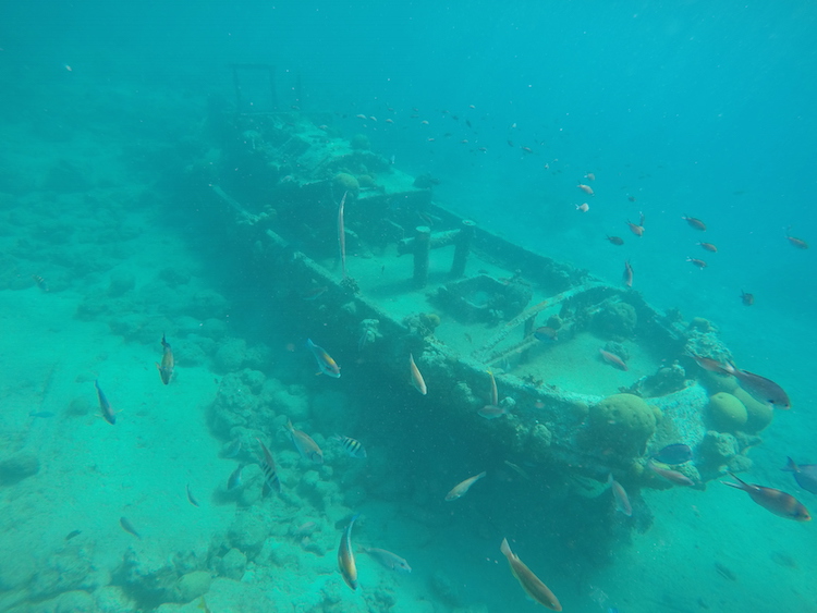 Tugboat snorkelen curacao