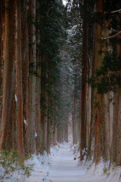 Togakushi nagano bos