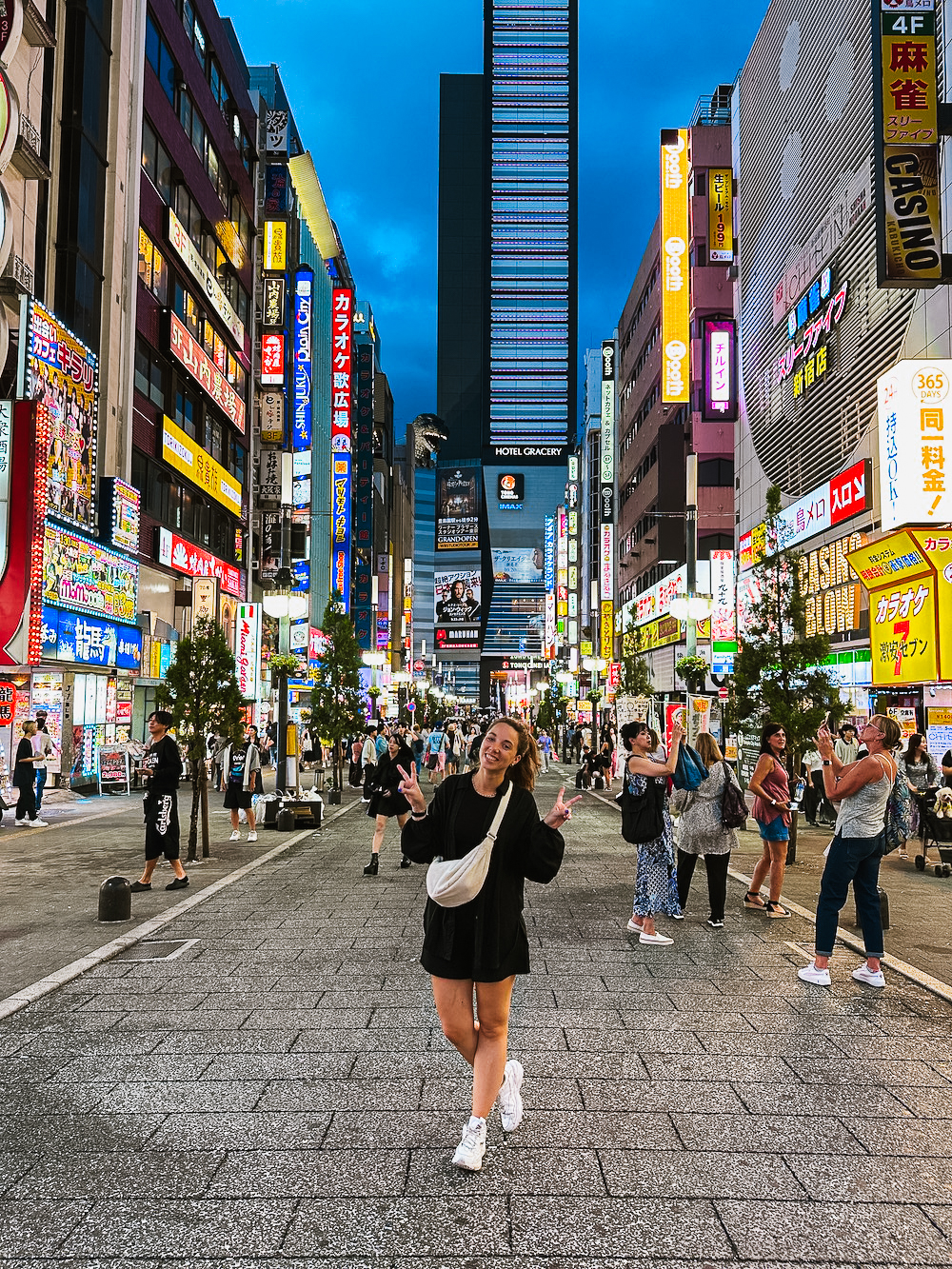 Tokyo in de avond, reisroute Japan