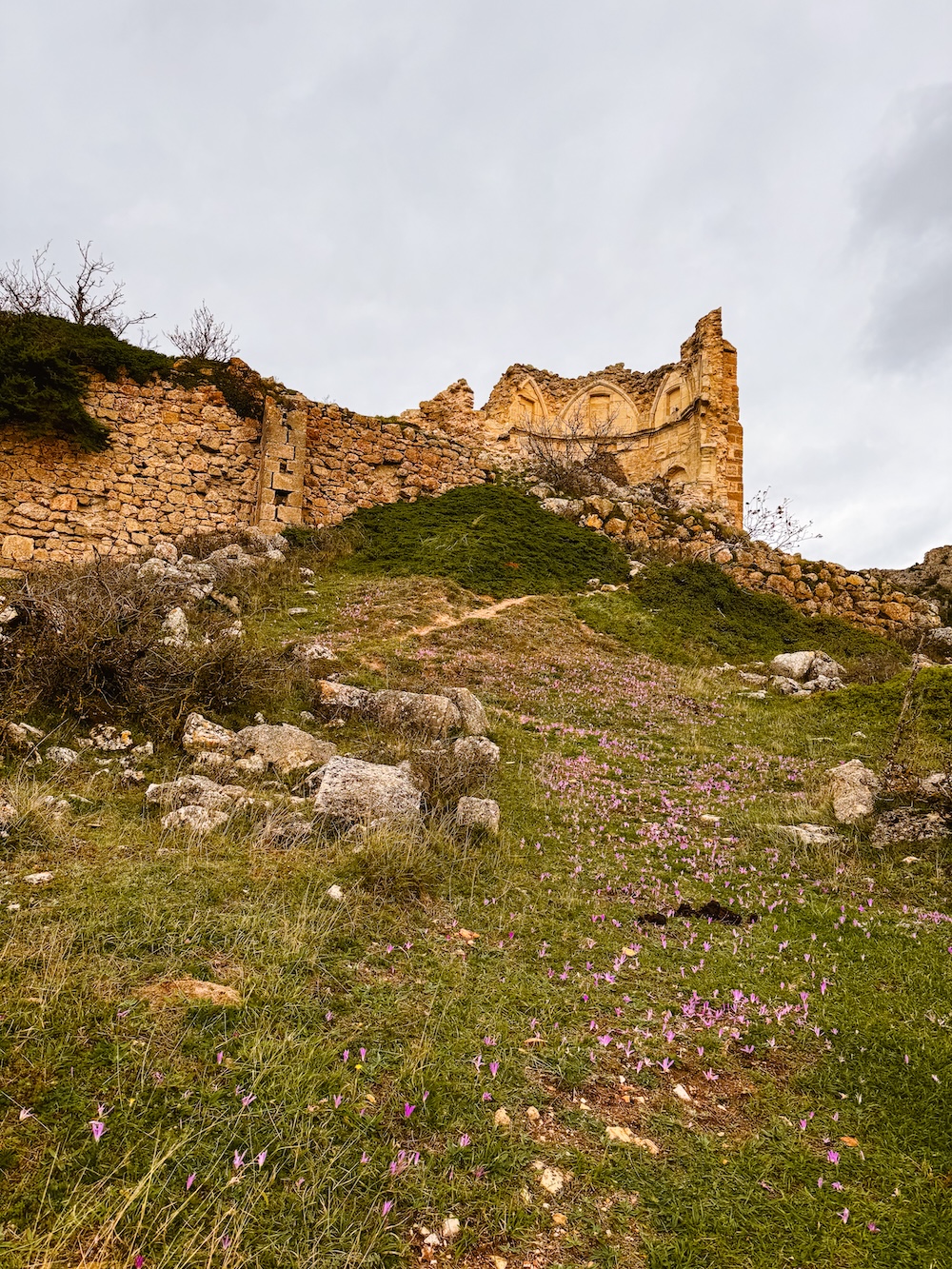 Toloño Rioja streek