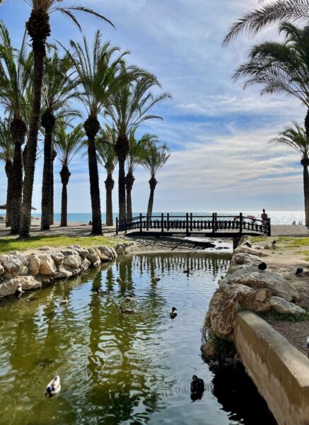 Palm trees line a sandy beach with a wooden bridge over a reflective pond, ducks swimming, and the ocean in the background.