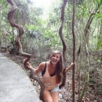 Tour door het dantree rainforest australie