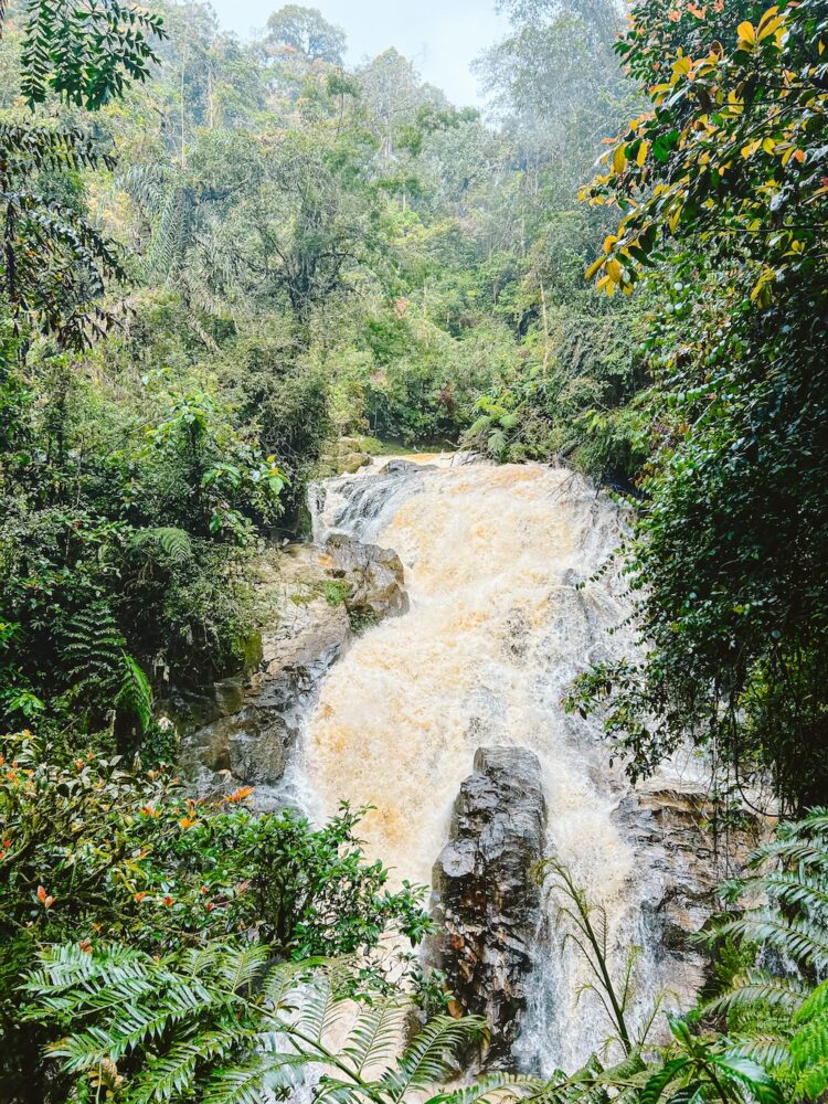 Trail 8 en 9 Robinson Waterval