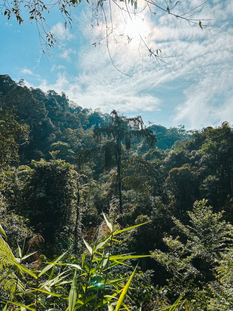 Trail 8 en 9, Tanah Rata