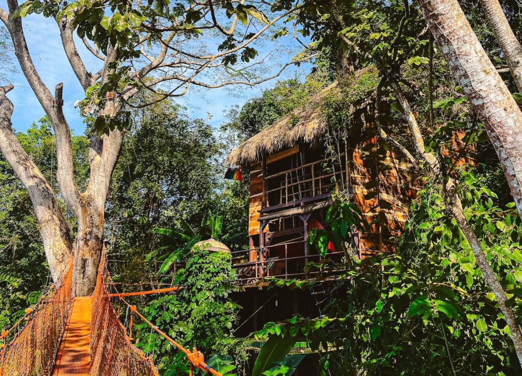 Treehouse-Nicaragua