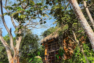 Treehouse Nicaragua