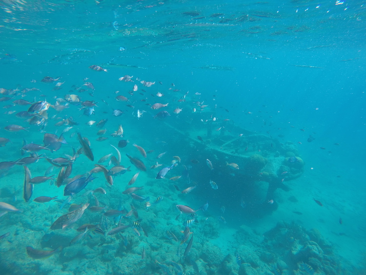 Tugboat snorkelen curacao