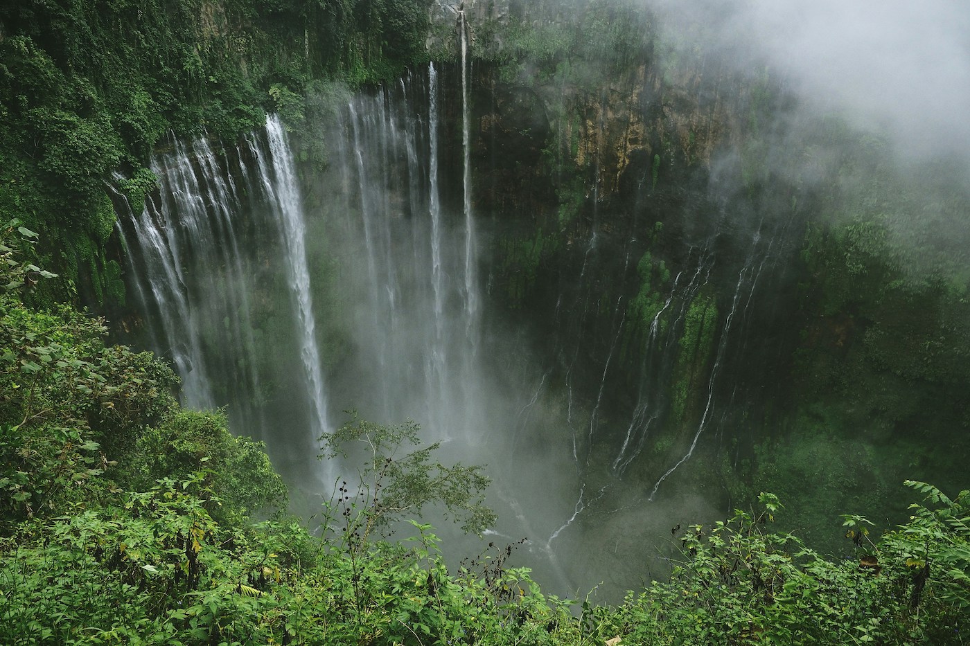 Waterfall cascading down a lush green cliff with mist rising from a deep pool below, surrounded by dense jungle foliage
