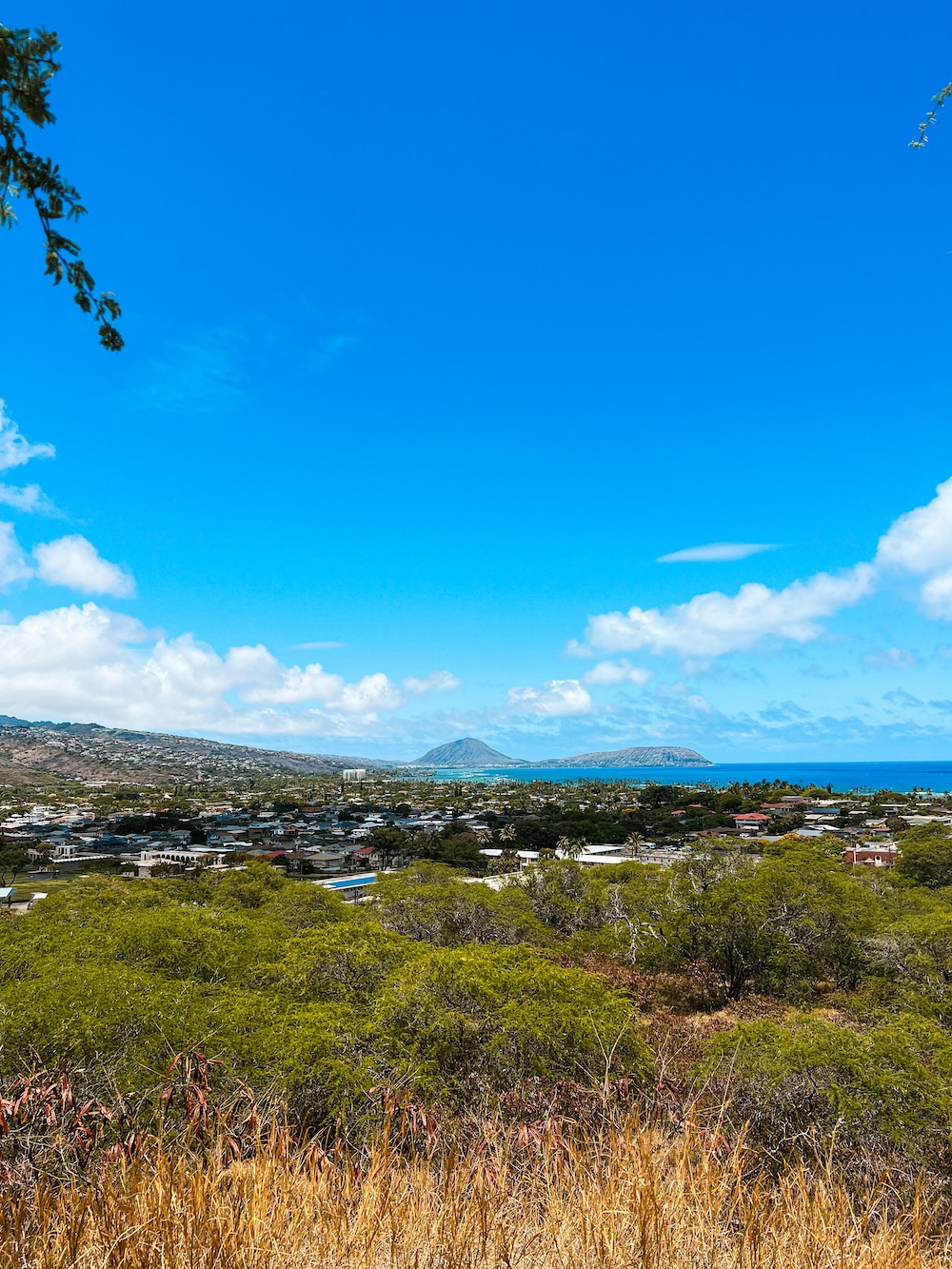 Uitzich voor begin Diamond Head trail