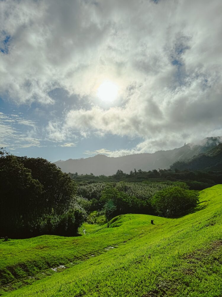 Uitzicht onderweg Hawaii