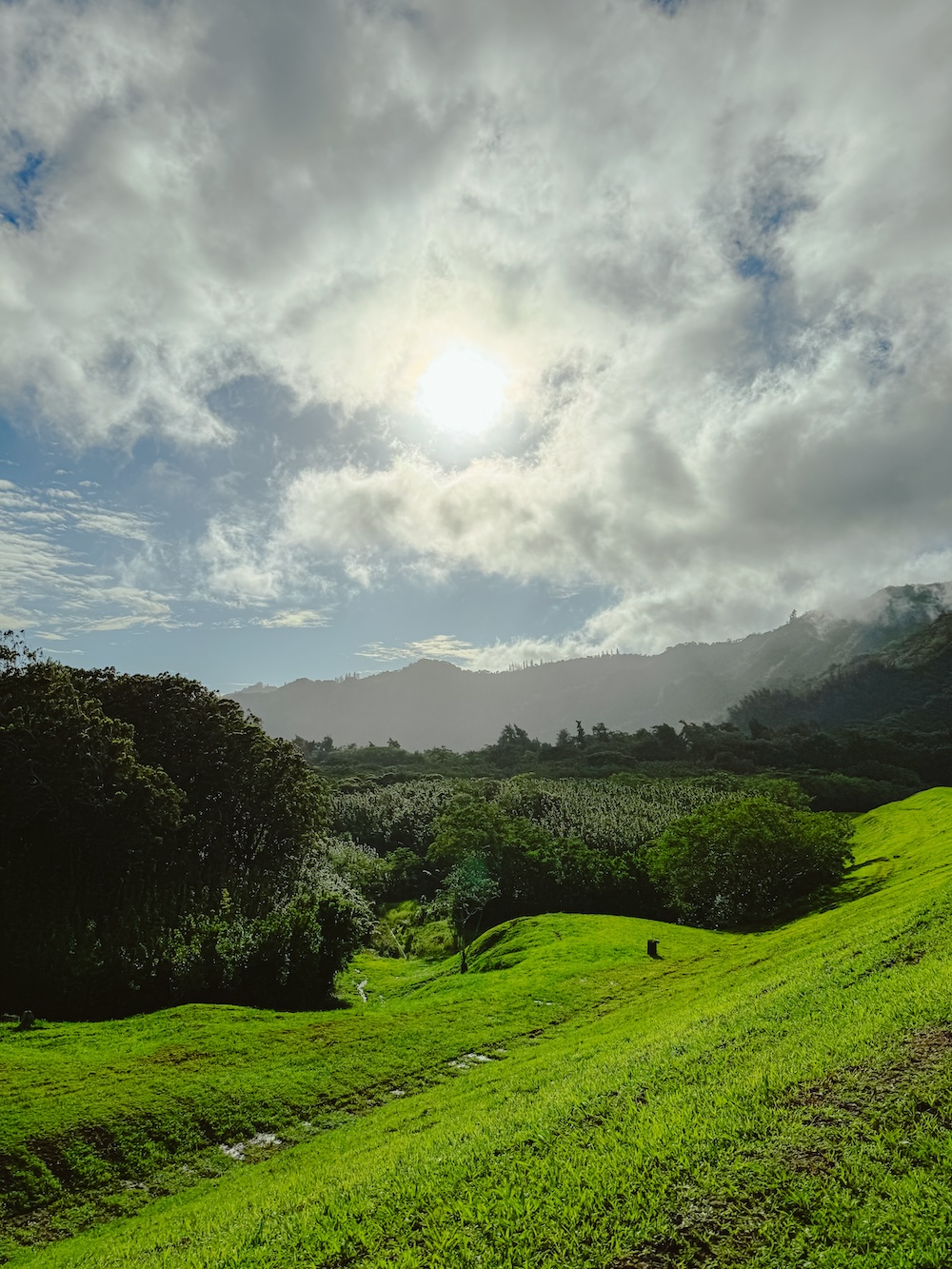 Uitzicht onderweg Hawaii