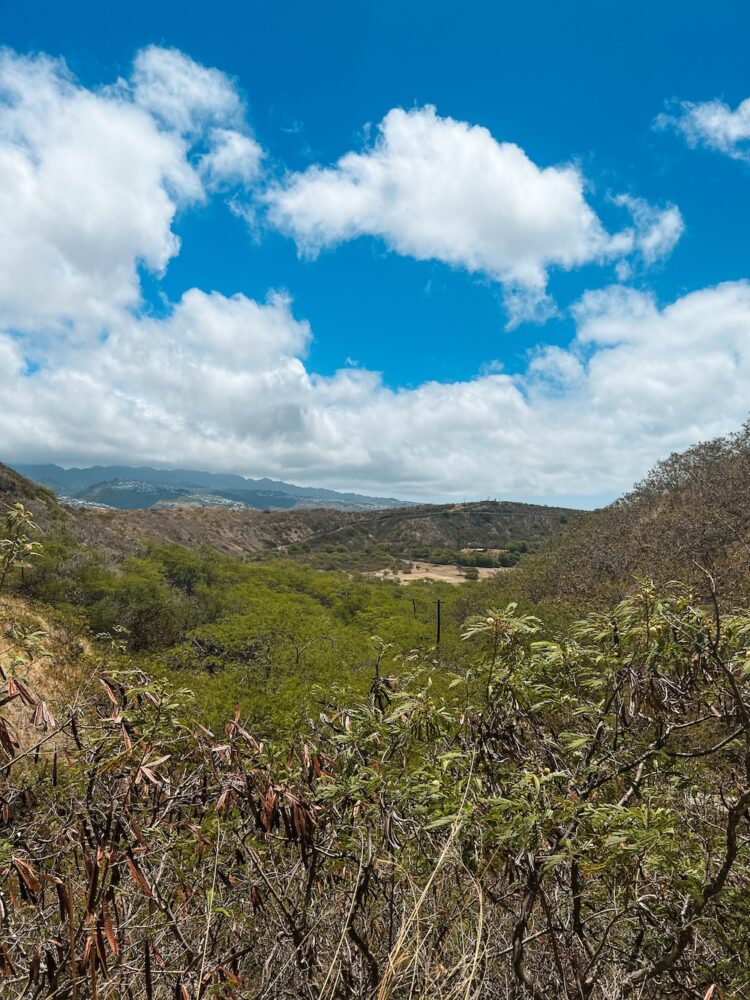 Uitzicht tijdens de hike Honolulu
