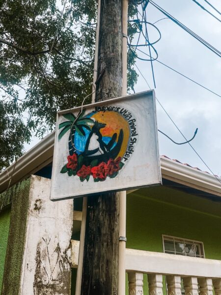 Utila animal shelter