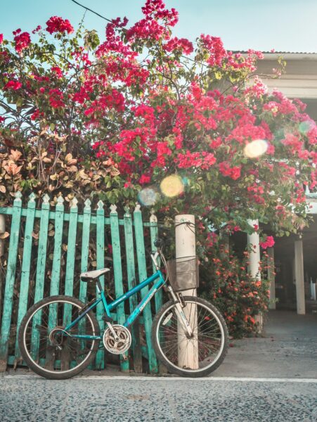 Teal bicycle resting against a turquoise picket fence with bright pink bougainvillea flowers cascading overhead on a sunny day.