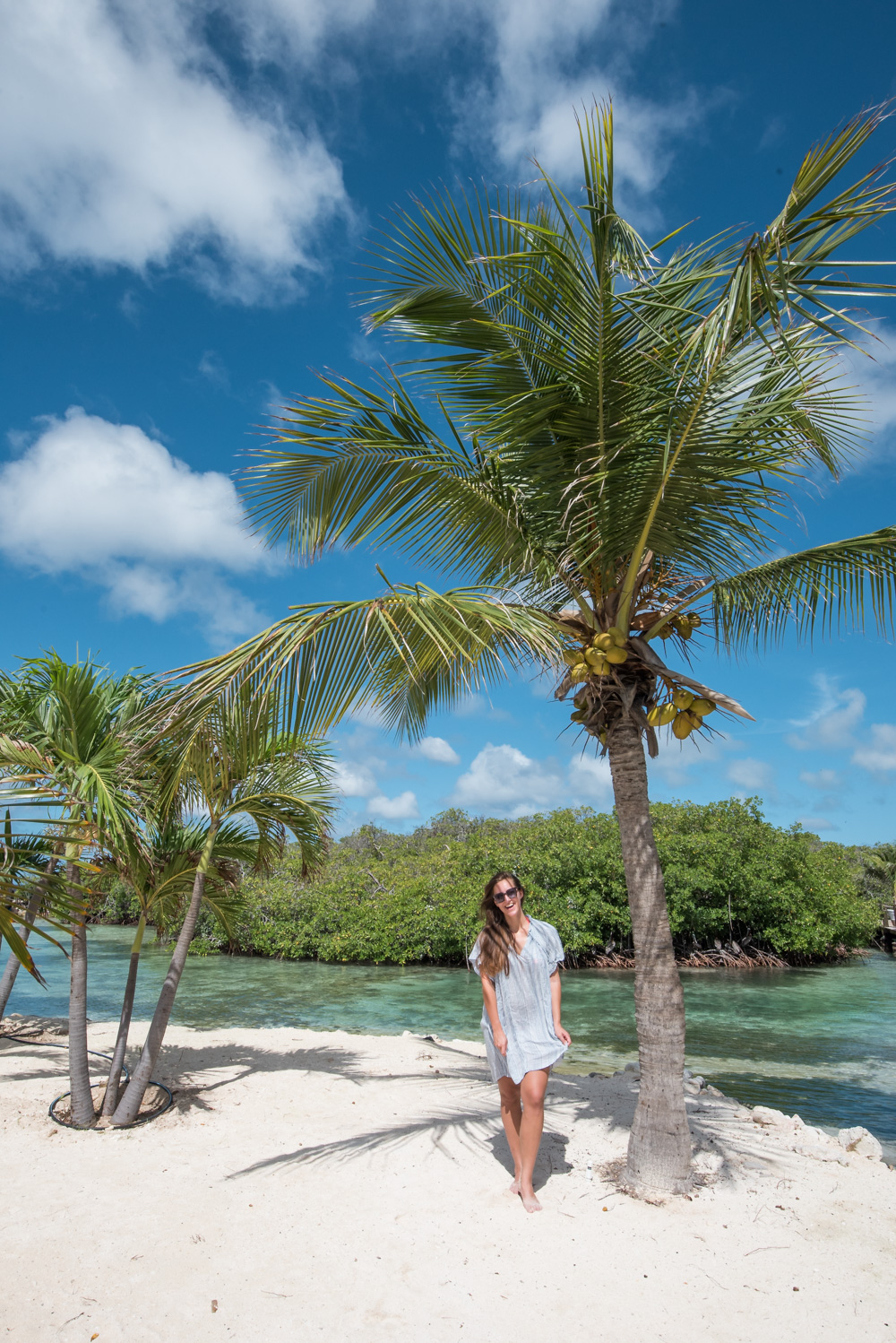 Vakantie Aruba palmbomen strandjes