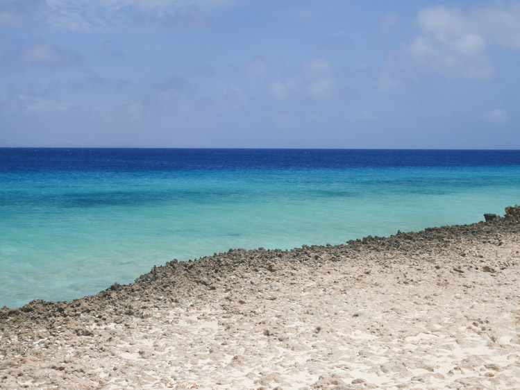 Vakantiebestemmingen 2019 bucketlist tips