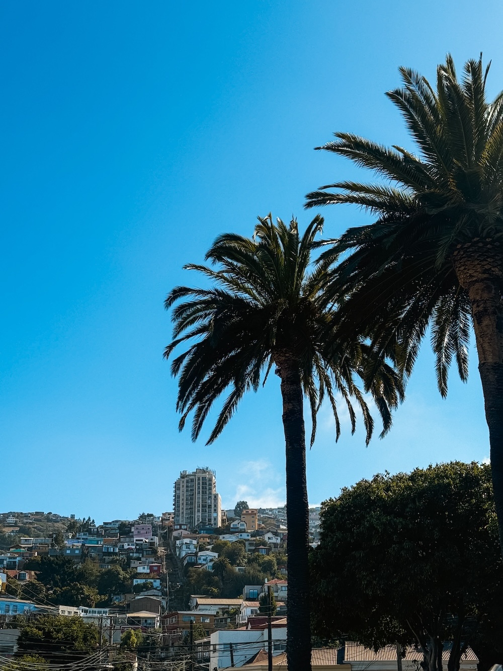 Valparaiso kunstwerk