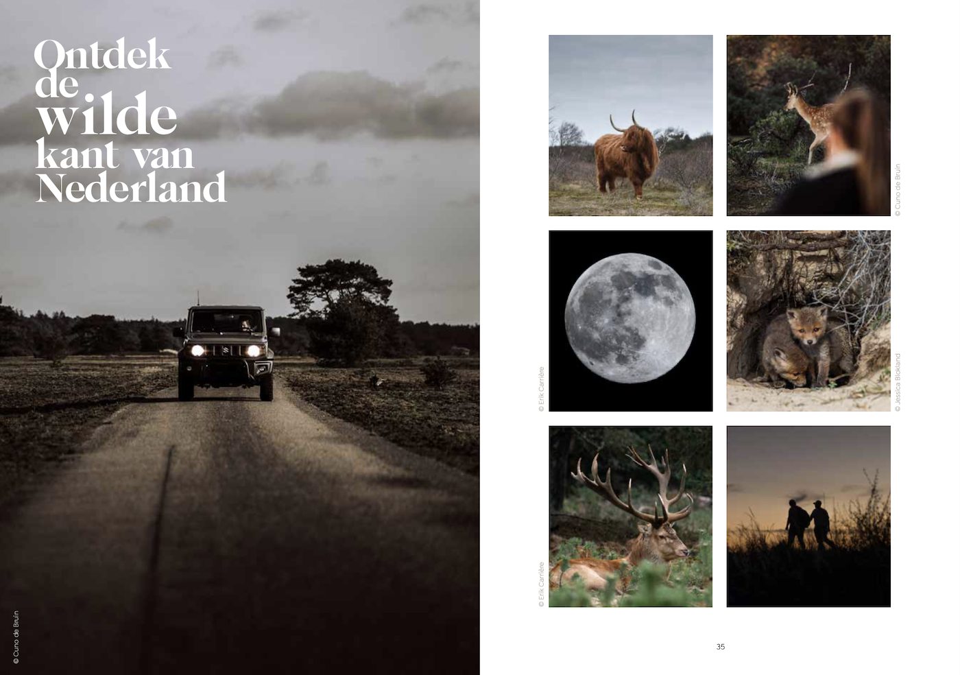 Verliefd op Nederland dieren hoofdstuk