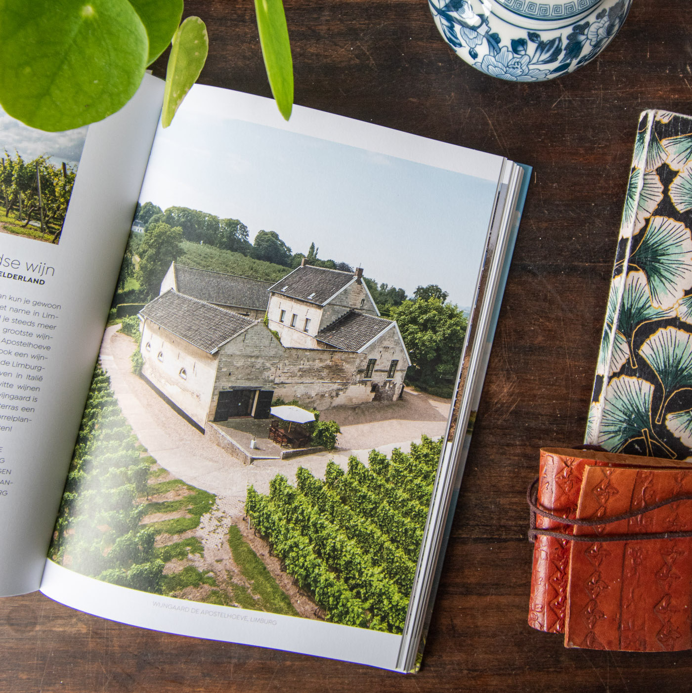 Verliefd op Nederland