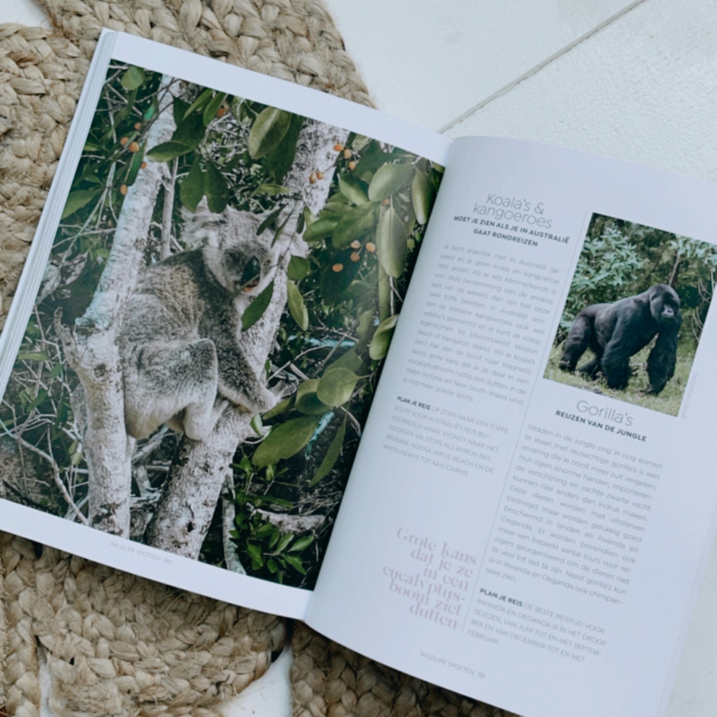 Verliefd op de Wereld