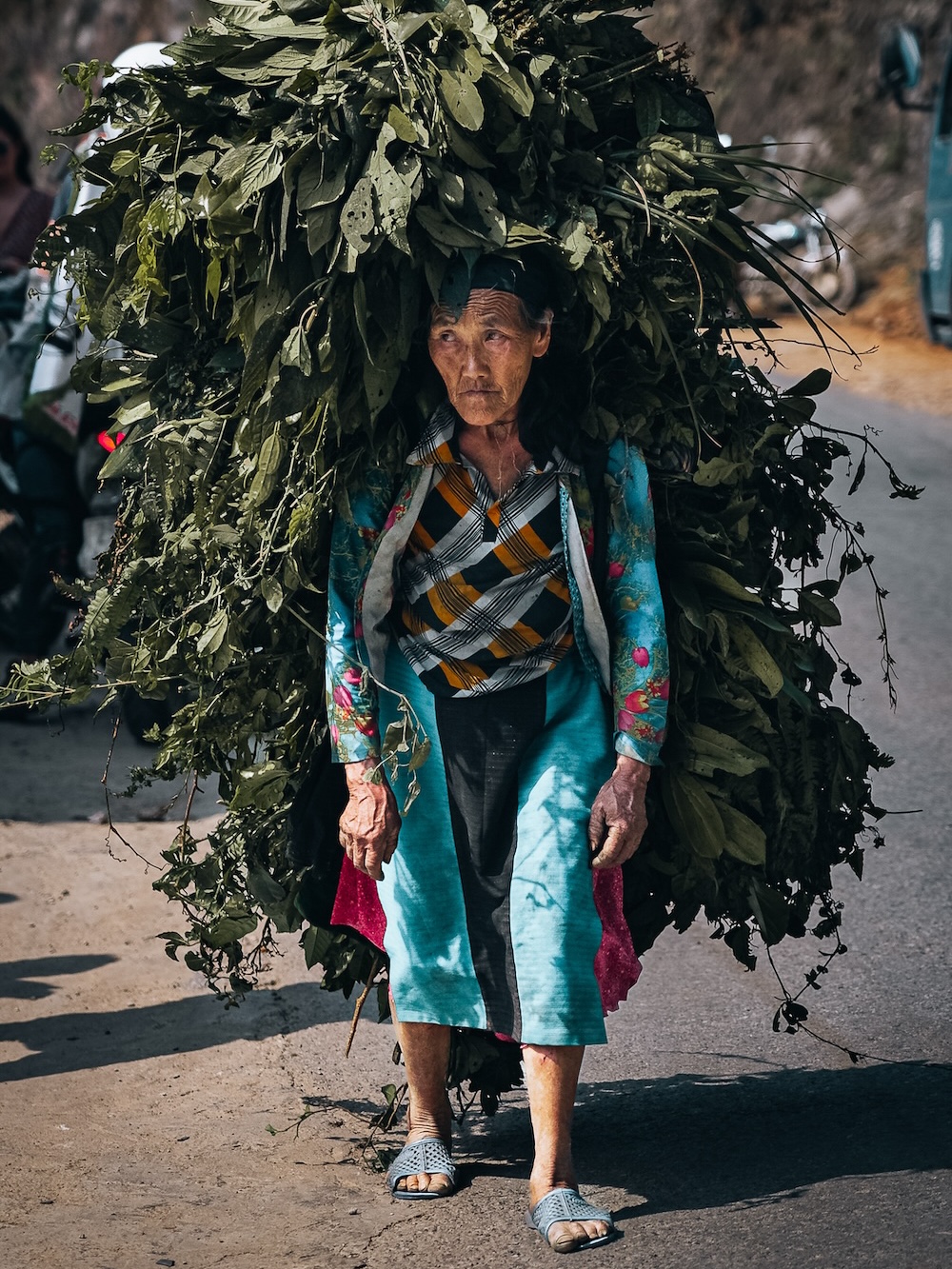 Vietnamees vrouwtje