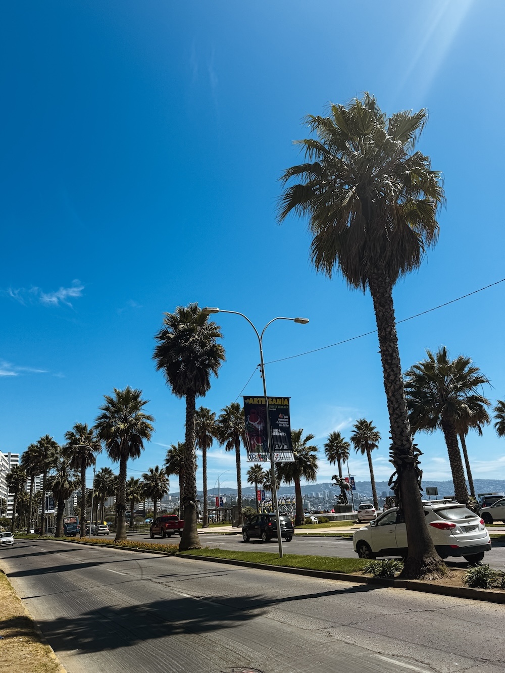 Vina del mar Roadtrip Chili