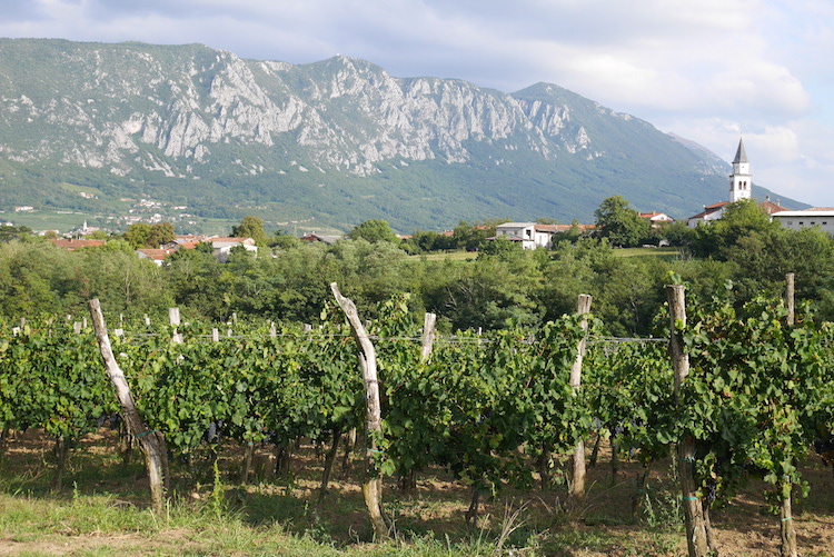 Vipava valley slovenie