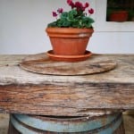 Vipava wine tilia
