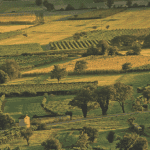 Vipava zonsondergang
