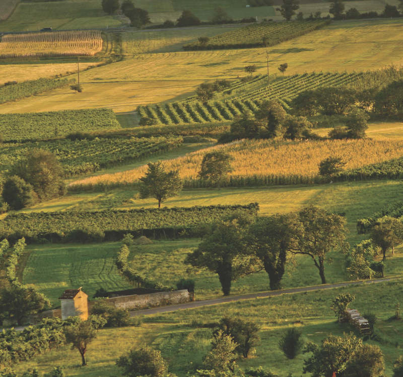 Vipava zonsondergang