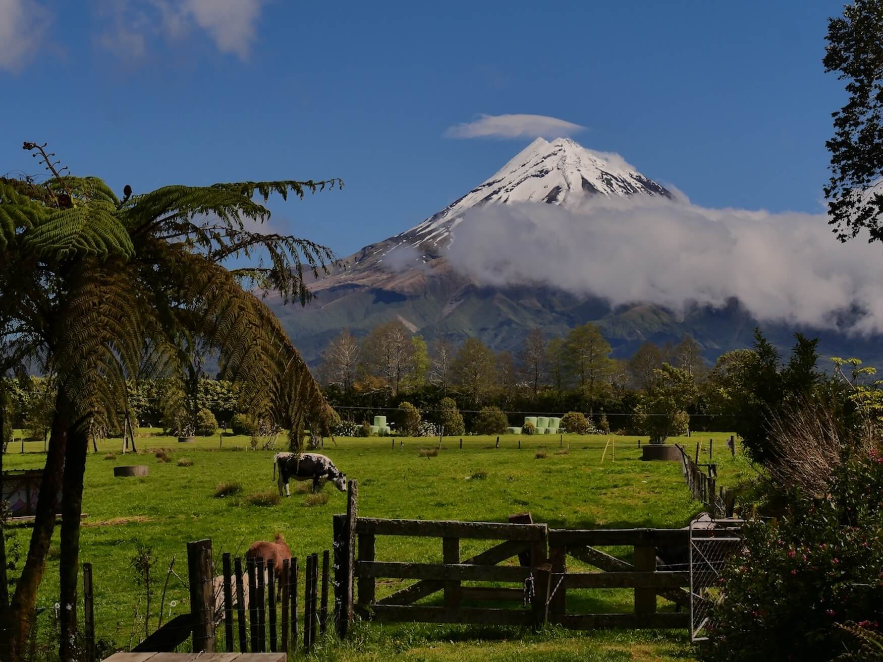 Volcano View Café Mt Taranaki