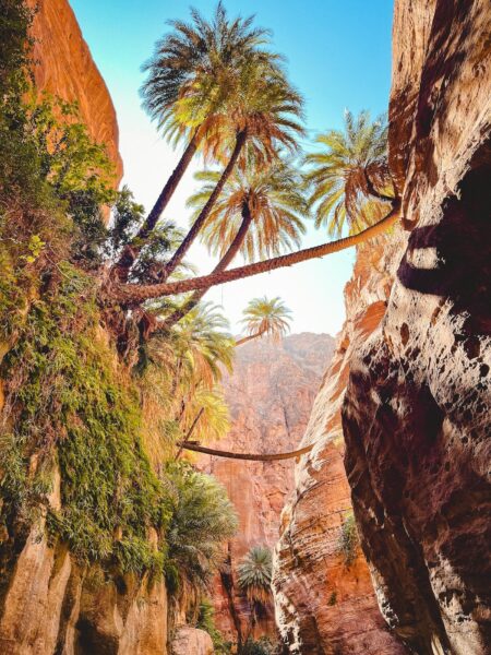 Wadi Dana Jordanië