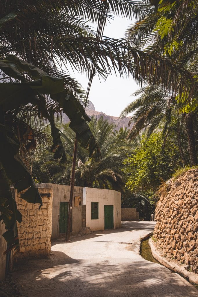 Wadi Tiwi Oman_