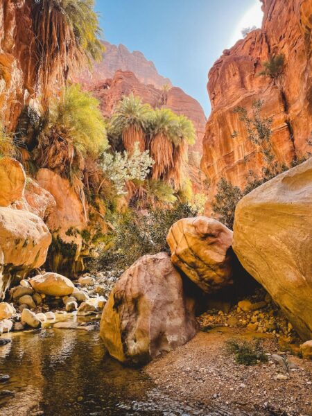 Wadi in Dana Jordanië