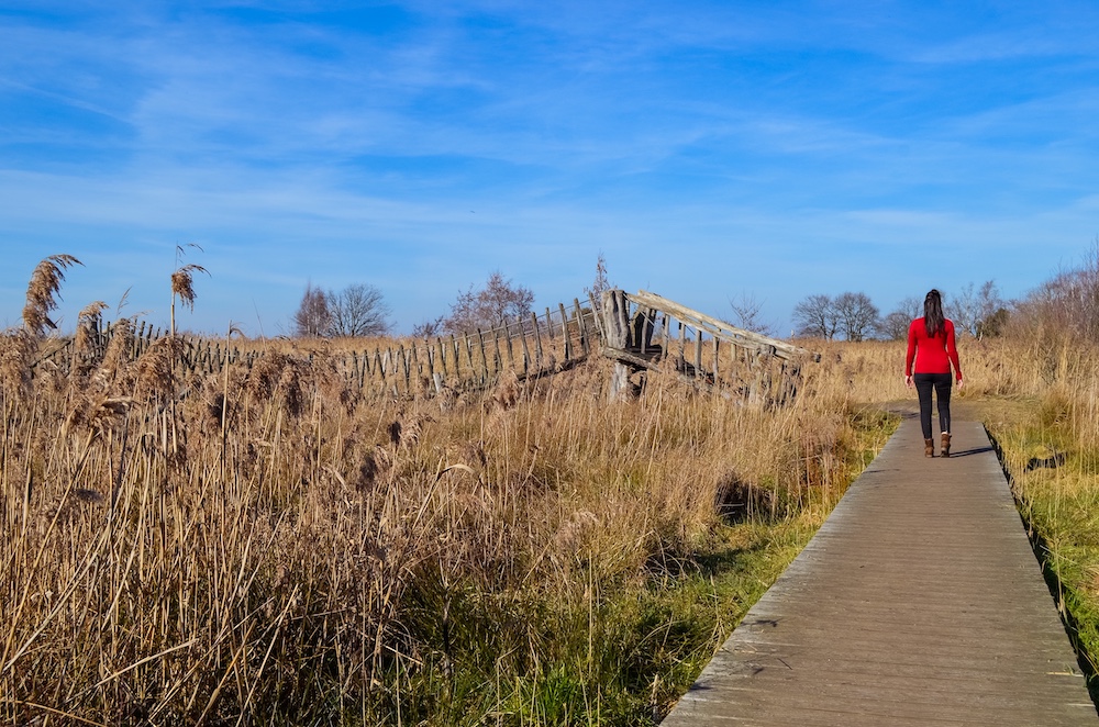 Wandelen Het Hageven belgisch limburg