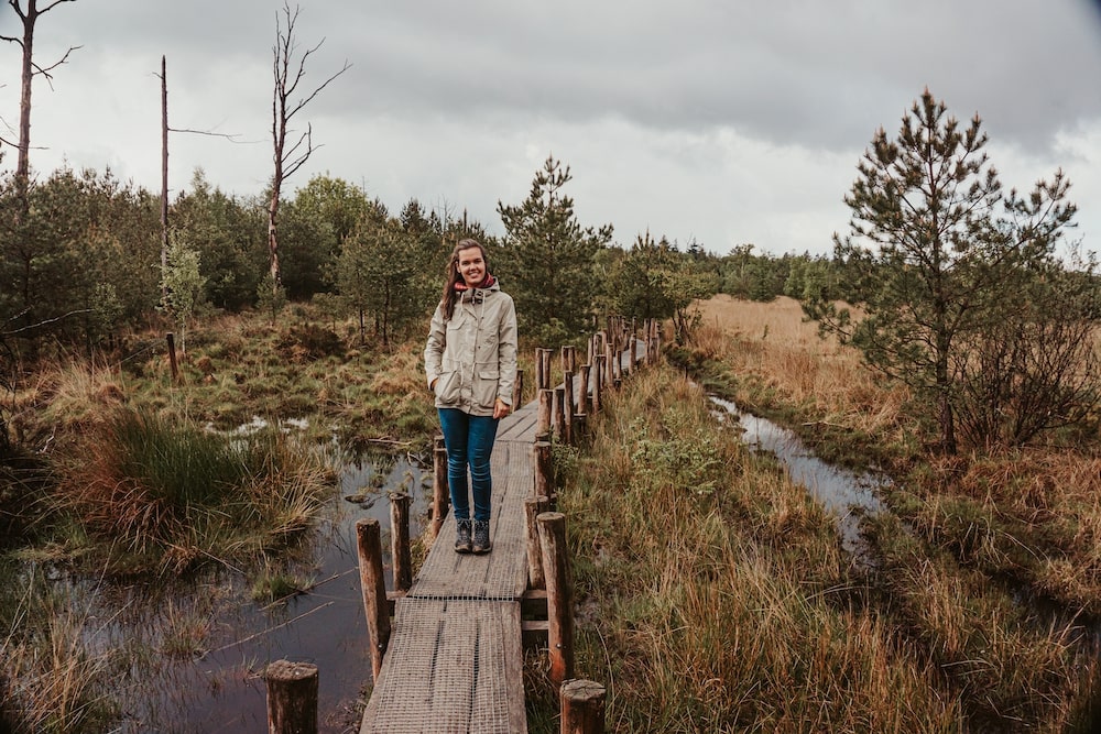 Wandelen plankenpad Drenthe