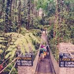 Wandeling Arenal - Cerro Chato costa rica