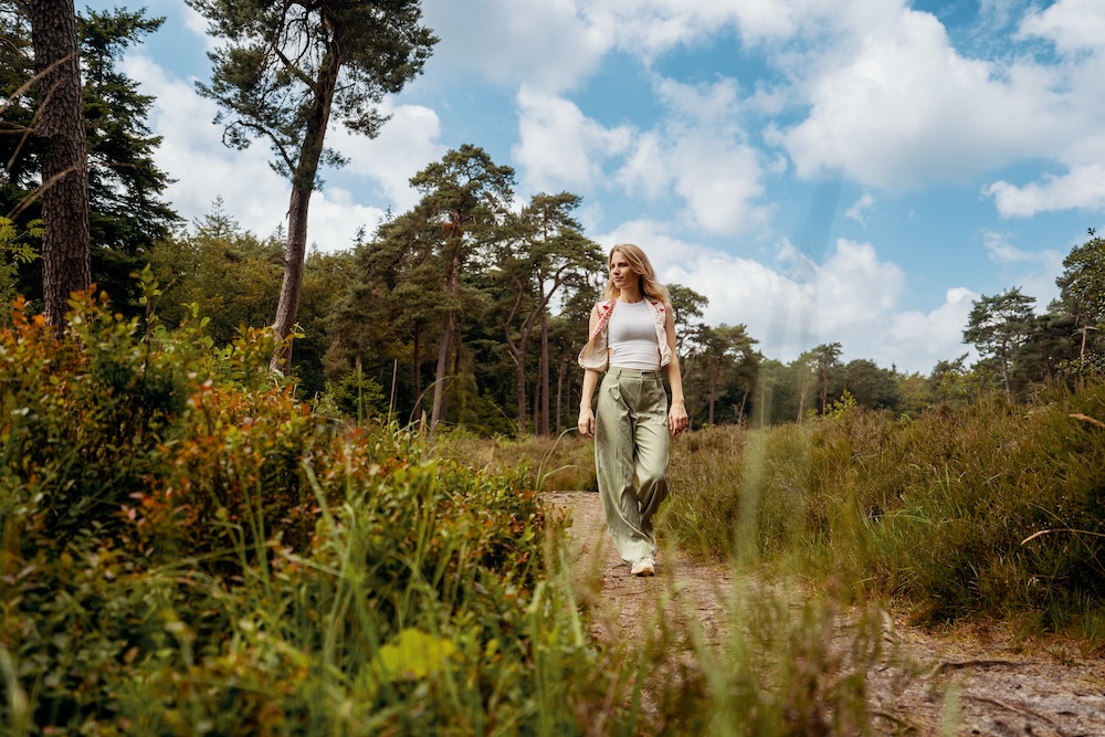 Wandeling steenwijk, Overijssel
