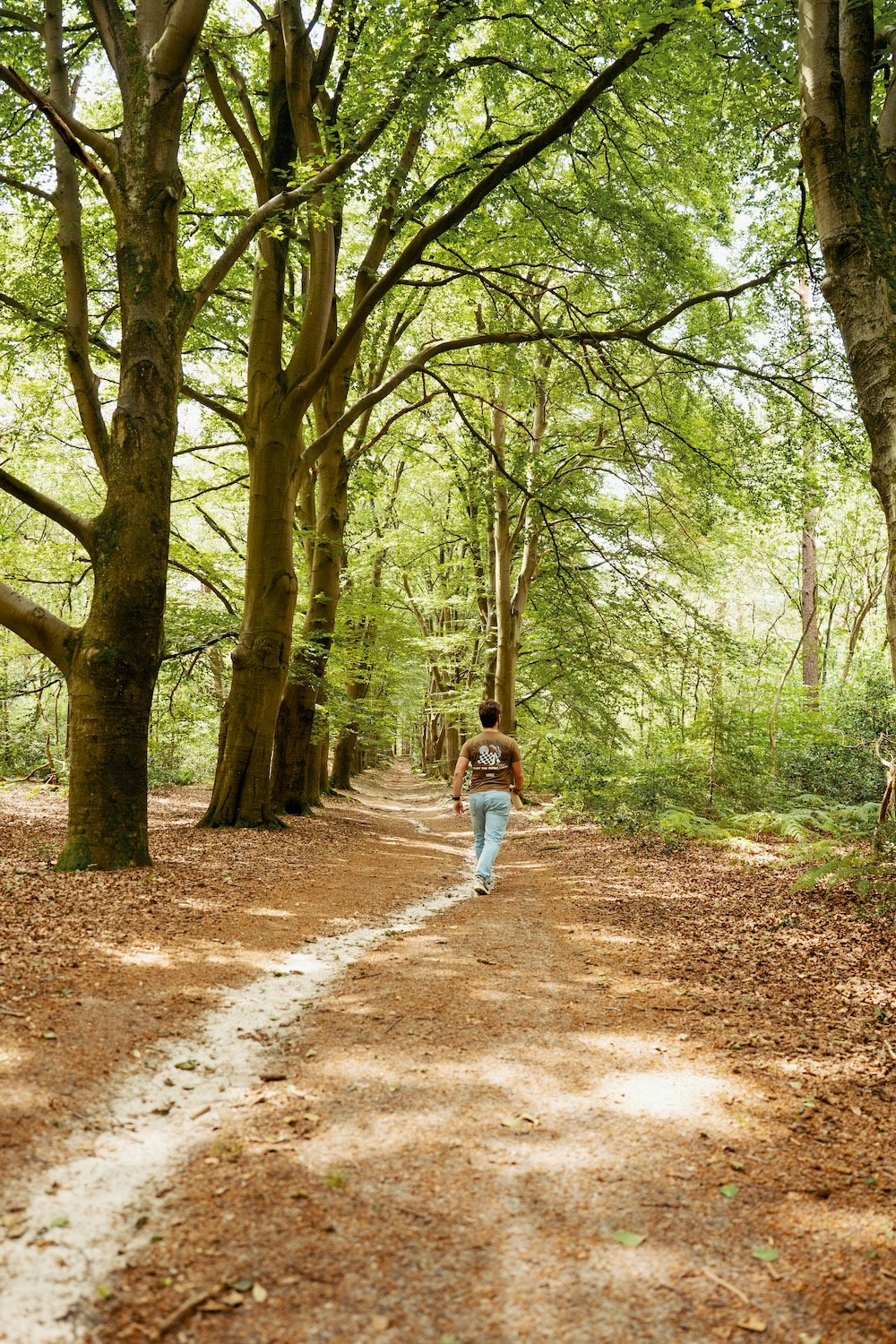 Wandeling steenwijk