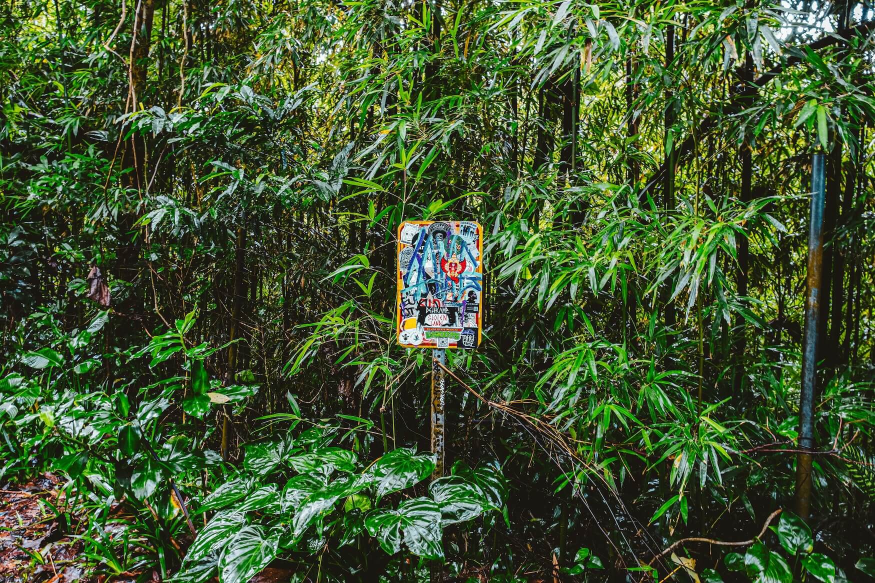 Wandelpad Manoa Falls