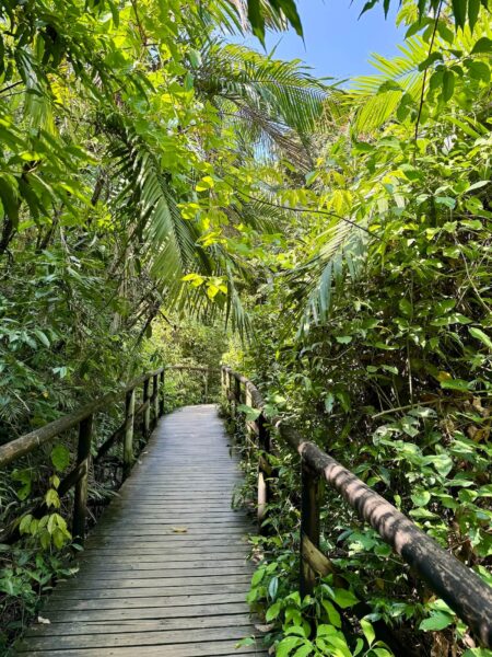 Wandelpad Manuel Antonio