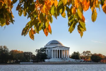Washington dc
