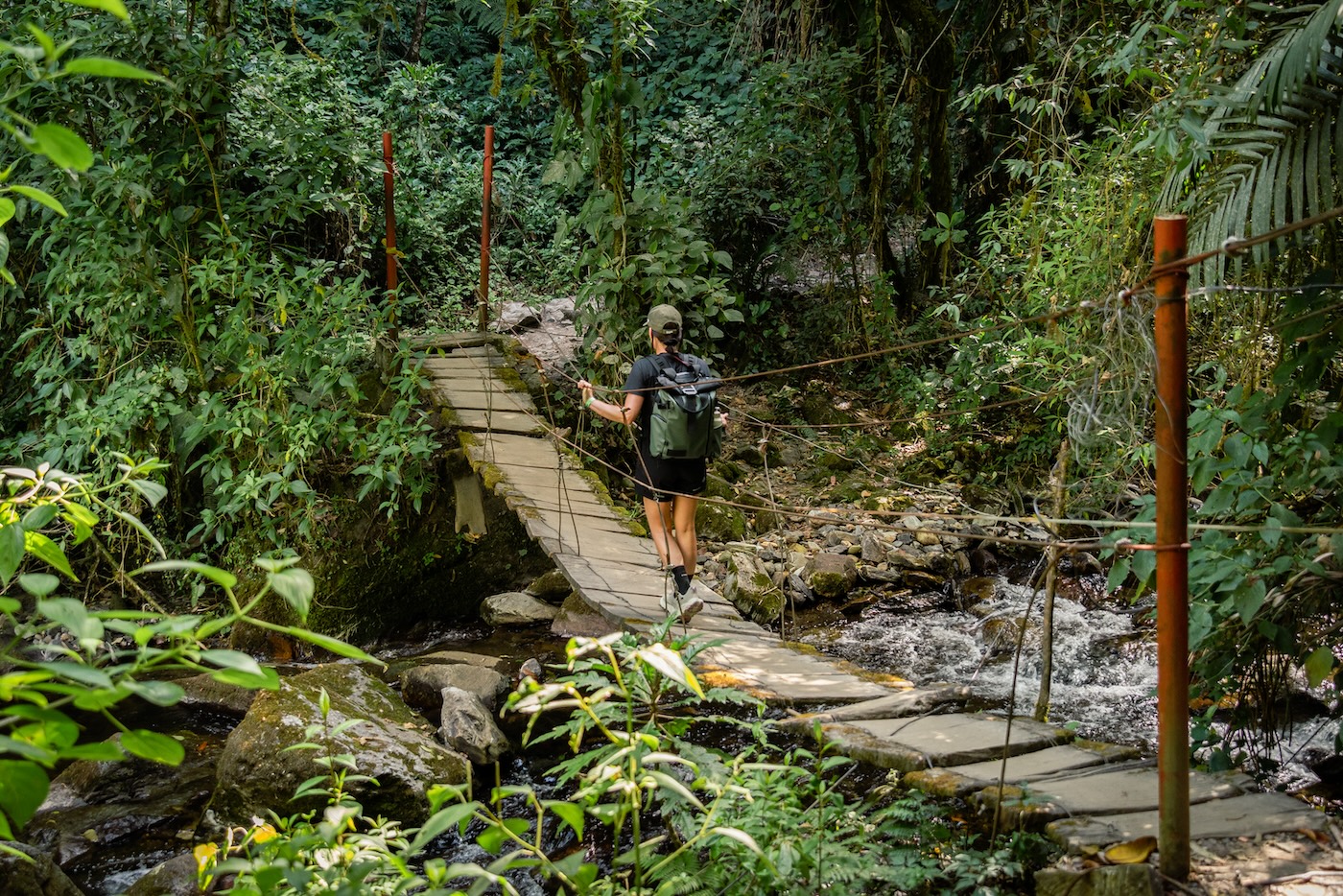Wat te doen Colombia, hiken Cocora Vallei